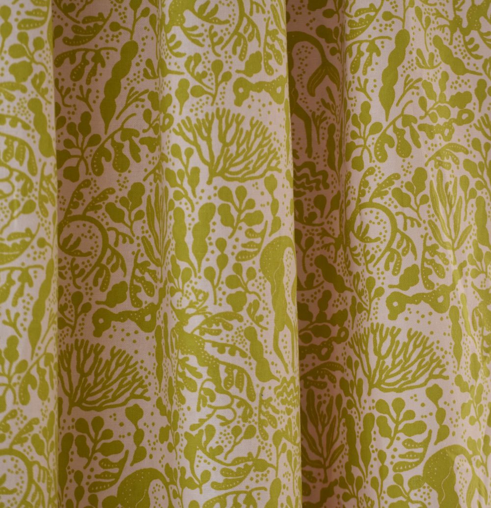 seadragonさくら02