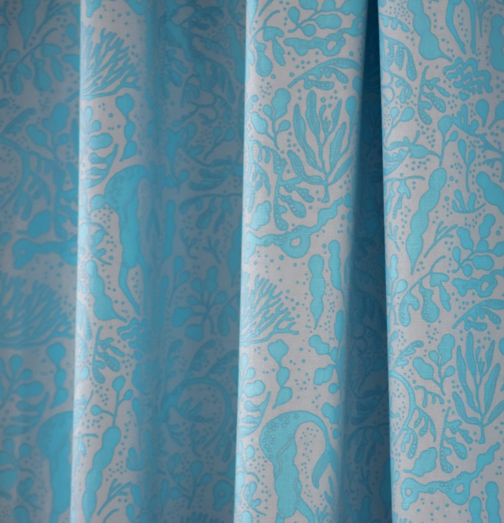 seadragonマリンブルー02